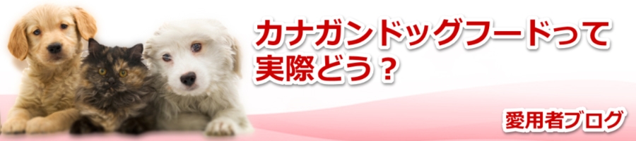 JiKhbOt[h͍\IH]ɊւR~̐^Ƃ