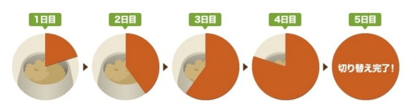 JiKhbOt[h͍\IH]ɊւR~̐^Ƃ